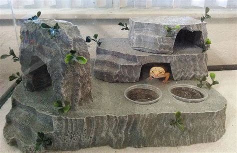 leopard gecko - leopard gecko hide - beardie - reptile habitat - reptile basking crested gecko ...