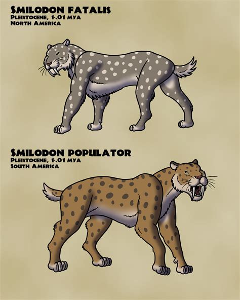 Smilodon Fatalis Vs Smilodon Populator