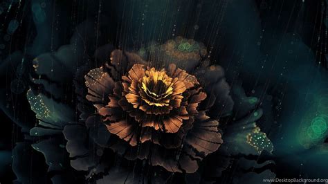 Beautiful Abstract Flower Dark Wallpapers Desktop Background