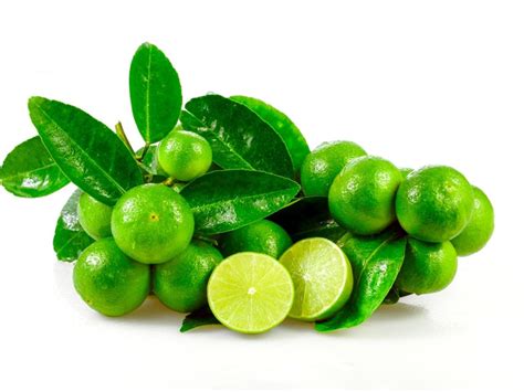 Care Of Key Lime Trees - How To Grow Mexican Key Lime Trees