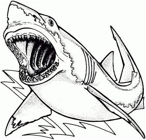 Awesome Great White Shark Coloring Page - Free Printable Coloring Pages for Kids