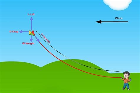 The Science Of Flying A Kite » ScienceABC