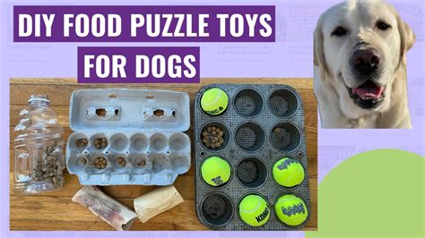 Homemade Dog Toys For Boredom | Wow Blog