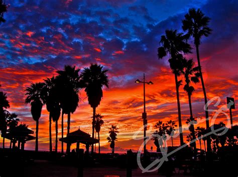 🔥 [50+] Venice Beach California Wallpapers | WallpaperSafari