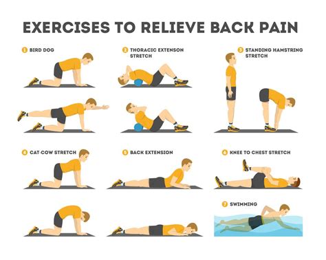 Printable Lower Back Pain Exercises