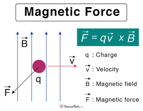 Magnetic Force Equation Example - Tessshebaylo