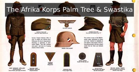 Panzer corps afrika korps campaign tree - meisterpsawe