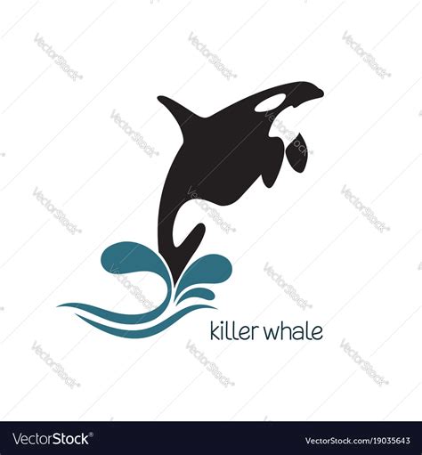 Killer whale Royalty Free Vector Image - VectorStock