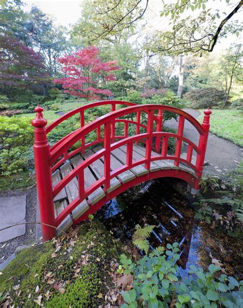 49 Backyard Garden Bridge Ideas and Designs (PHOTOS)