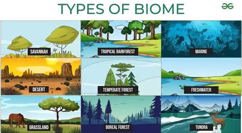 What is Biome? Definition, Types, Characteristics, Examples