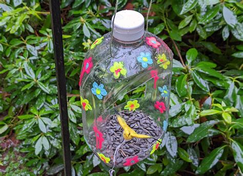 Make a DIY Bird Feeder Using a Recycled Plastic Container