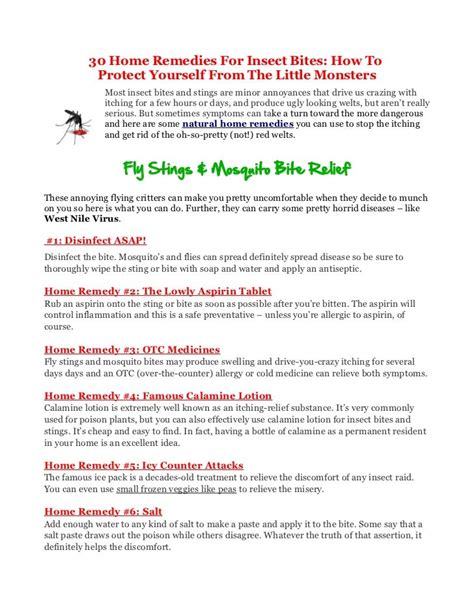 30 Home Remedies For Insect Bites: How To Protect Yourself From The L…