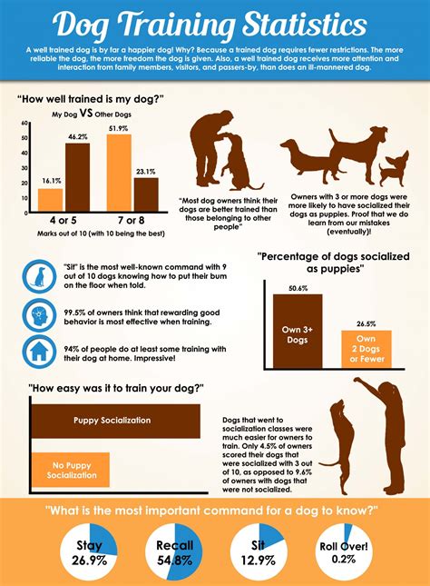 Types Of Dog Training – Dog Training Stats | Suburban K9