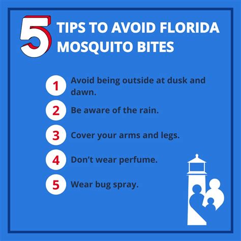 Florida Bug Bites: 3 Local Insects and How to Deal With Them