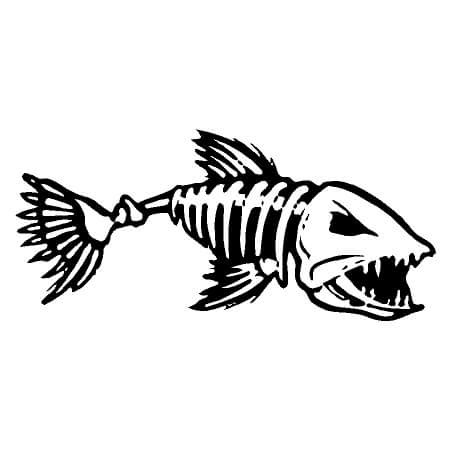 Fish Skeleton Vinyl Decal Sticker | Fishing Decals – Country Boy Customs Store