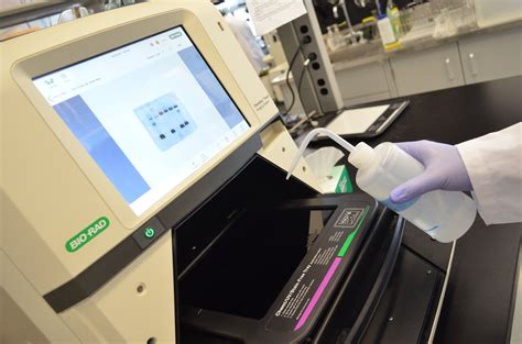 Western Blot Detection Methods