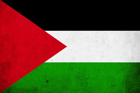 Bendera Palestina png 3000x4515 px Wallpaper HD | Pxfuel