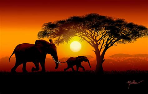 Baby African Elephants In Sunset