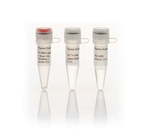 Thermo Scientific™ T4 DNA Ligase (5 U/μL) | Fisher Scientific