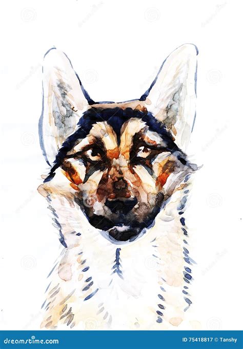 Adorable German Shepherd Dog Head Drawing - l2sanpiero