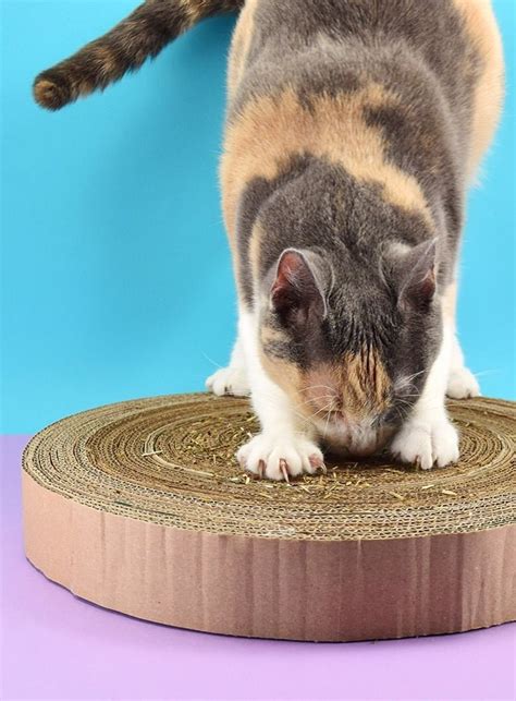 DIY Cardboard Cat Scratcher ⋆ Dream a Little Bigger