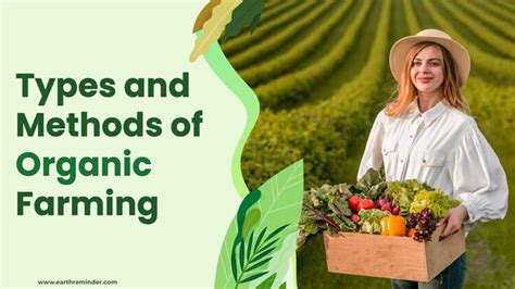 Organic Farming: Methods and Types | Earth Reminder