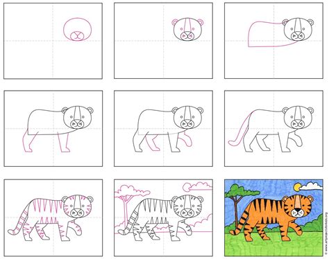 Step By Step How To Draw A Tiger at Drawing Tutorials