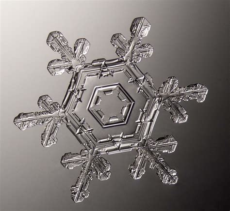 Get Up Close and Personal with Beautiful Snowflakes | Time