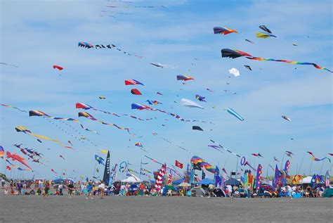 The Kite- Flying Festival, Blog - Ohana International School