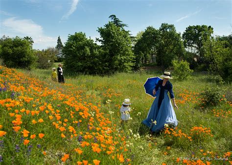 Inspired by Claude Monet Poppies Photograph by Alexander Fedin | Fine Art America