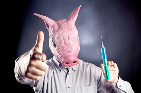 First ever human-pig hybrid animal created in lab for organ harvesting | Daily Star