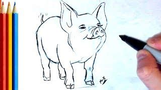 How To Draw A Realistic Pig - Plantforce21