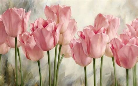 Soft pink tulips wallpaper | colorful | Wallpaper Better