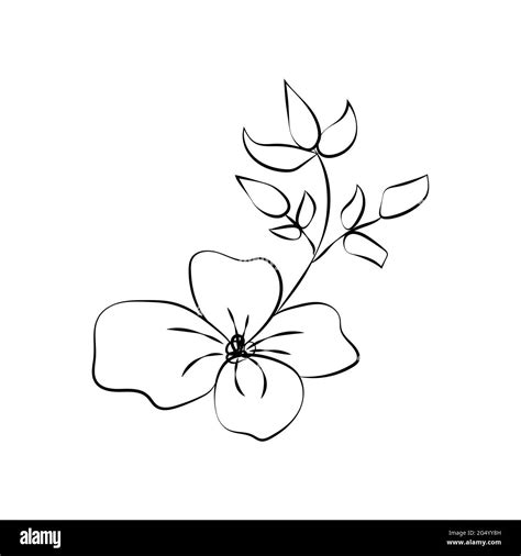 Summer garden blooming flowers monochrome illustration, sketch, hand drawn Stock Vector Image ...