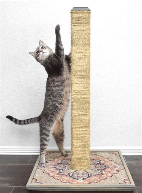 diy-cat-scratching-post-cheap-kitty-scratcher-dreamalittlebigger-32 ⋆ Dream a Little Bigger