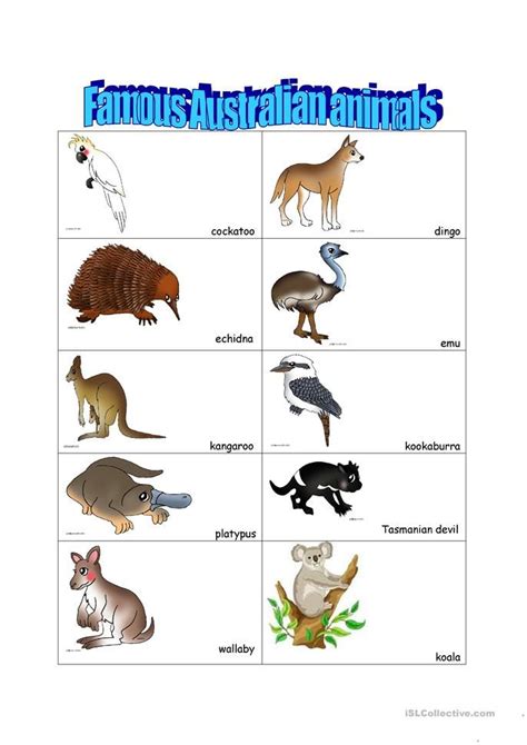 Australian animals - English ESL Worksheets for distance learning and physical classrooms ...