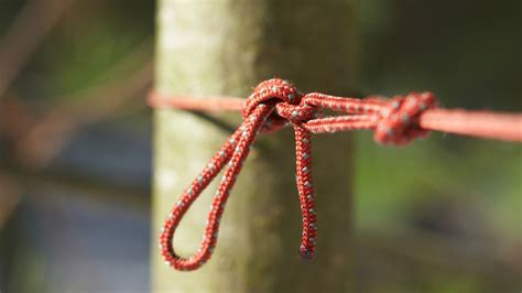 The best knots for camping and hiking: for rigging shelters, repairs, hanging hammocks and more ...