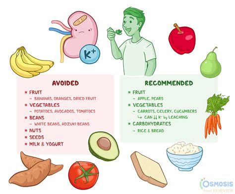 Low Potassium Diet: What Is It, Uses, Foods to Avoid and Include, and More | Osmosis