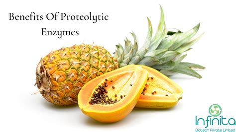 Proteolytic Enzymes: How They Work, Benefits and Sources