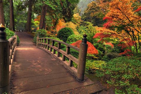 Park Backgrounds - Wallpaper Cave