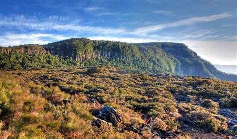 New England National Park | NSW National Parks