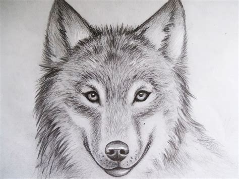 155 best images about amazing drawings on Pinterest | Portrait, Cool easy drawings and Awesome ...