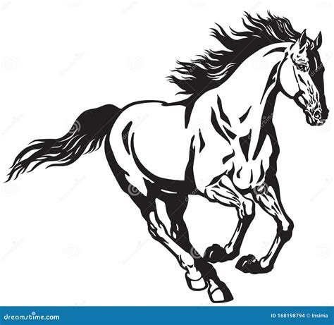 Galloping Wild Horse. Black and White Stock Vector - Illustration of black, isolated: 168198794