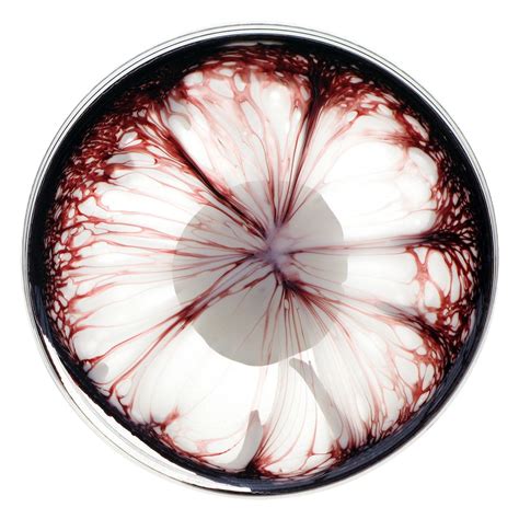 Petri Dish Painting Bio Art, Petri Dish, Ethereal Art, Science Art, Textures Patterns, Dark Art ...