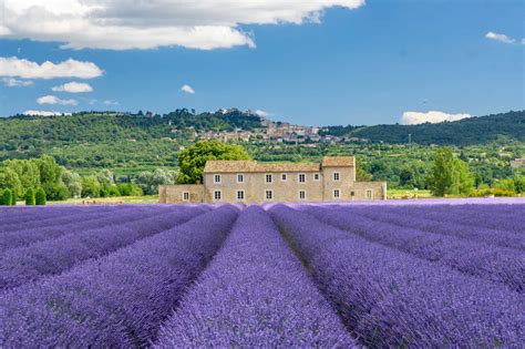 32 Gorgeous Lavender Fields You Should Add To Your Bucket List