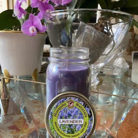 Natural Lavender Mosquito Repellent Candle (Set of 3) Indoor Outdoor - 88 Hour Burn - Naturally ...