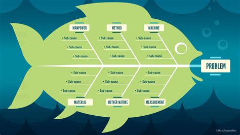 Fishbone Diagram Explained | Reliable Plant