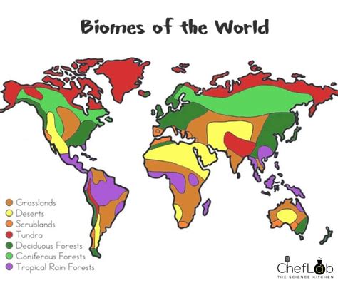 Biomes Map For Kids