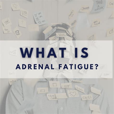 Is Stress Related to ‘Adrenal Fatigue’? - Zemvelo Liquid Vitamins and Supplements