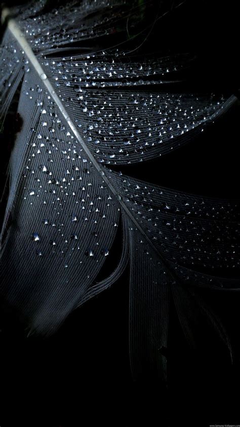 Pure Black Backgrounds Wallpapers - Wallpaper Cave